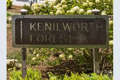 29 White Pine Drive, Asheville, NC 28805 - Photo 43