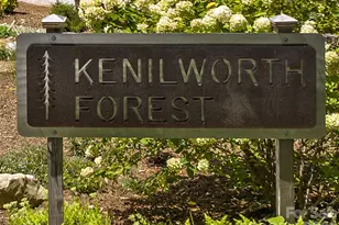 29 White Pine Dr, Asheville, NC 28805 - Photo 43