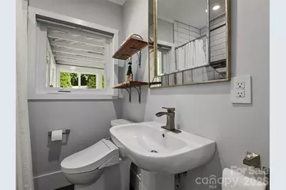 29 White Pine Drive, Asheville, NC 28805 - Photo 23