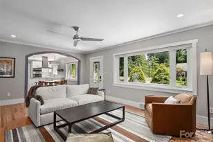 29 White Pine Dr, Asheville, NC 28805 - Photo 3