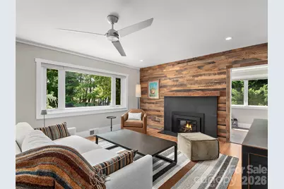 29 White Pine Drive, Asheville, NC 28805 - Photo 3