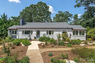 29 White Pine Dr, Asheville, NC 28805 - Photo 35