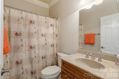 133 Towne Place Drive, Hendersonville, NC 28792 - Photo 27