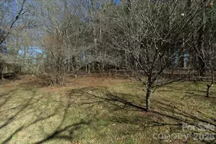 297 Banner Farm Rd, Mills River, NC 28759 - Photo 39