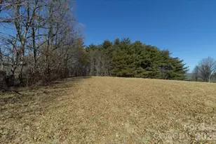 297 Banner Farm Rd, Mills River, NC 28759 - Photo 35