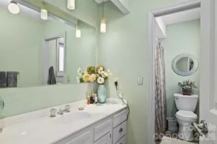 3017 Chestnut Tree Rd, Hendersonville, NC 28792 - Photo 23