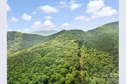 2200 Camp Branch Road, Waynesville, NC 28786 - Photo 5