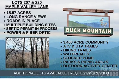 Tbd Maple Valley Lane #207 & 220, Purlear, NC 28665 - Photo 1