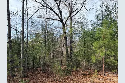 Tbd Maple Valley Lane #207 & 220, Purlear, NC 28665 - Photo 19