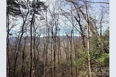 Tbd Maple Valley Lane #207 & 220, Purlear, NC 28665 - Photo 3