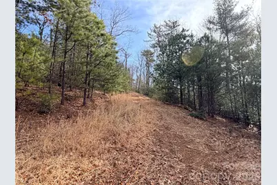Tbd Maple Valley Lane #207 & 220, Purlear, NC 28665 - Photo 15