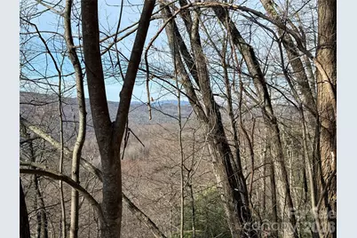 Tbd Maple Valley Lane #207 & 220, Purlear, NC 28665 - Photo 9