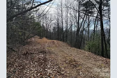 Tbd Maple Valley Lane #207 & 220, Purlear, NC 28665 - Photo 7