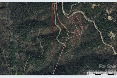 Tbd Maple Valley Lane #207 & 220, Purlear, NC 28665 - Photo 21