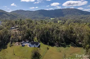 275 Souther Rd, Fletcher, NC 28732 - Photo 47