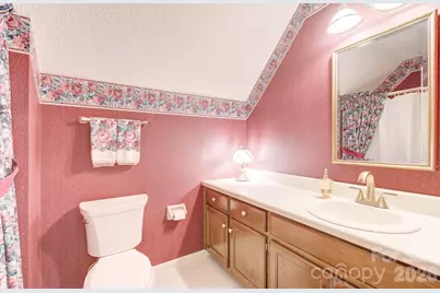 456 Mills Gap Road, Arden, NC 28704 - Photo 19