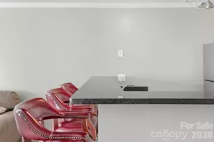 513 N Graham St, Charlotte, NC 28202 - Photo 9