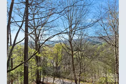 331 River Ridge Drive, Burnsville, NC 28714 - Photo 15