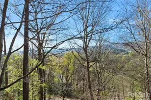 331 River Rdg Dr, Burnsville, NC 28714 - Photo 15