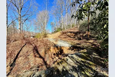 99999 Carpenters Son Lane, Hendersonville, NC 28792 - Photo 9