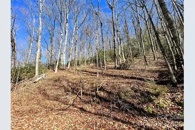 99999 Carpenters Son Lane, Hendersonville, NC 28792 - Photo 5