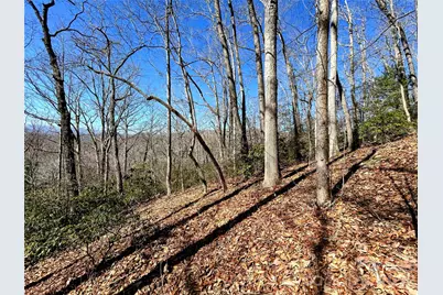 99999 Carpenters Son Lane, Hendersonville, NC 28792 - Photo 1