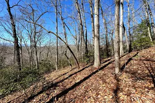 99999 Carpenters Son Ln, Hendersonville, NC 28792 - Photo 1