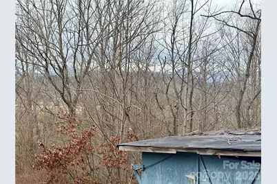 305 Rich Mountain Road, Brevard, NC 28712 - Photo 13