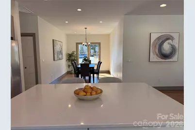 314 Gallimore Road, Brevard, NC 28712 - Photo 9