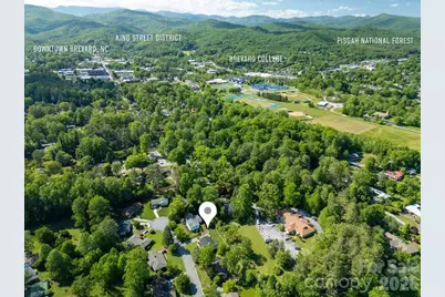 84 Far Hills Terrace, Brevard, NC 28712 - Photo 3