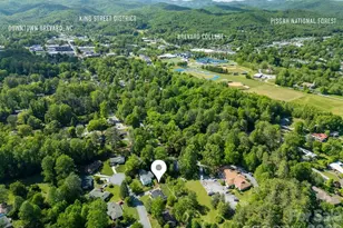 84 Far Hills Terrace, Brevard, NC 28712 - Photo 3