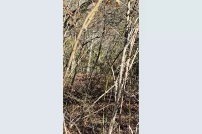 207 Receptive Drive #29, Glenville, NC 28736 - Photo 17