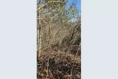 207 Receptive Drive #29, Glenville, NC 28736 - Photo 21