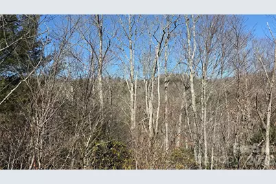 207 Receptive Drive #29, Glenville, NC 28736 - Photo 15