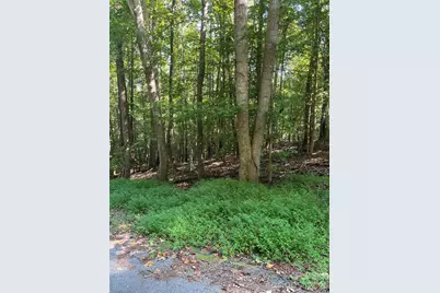 0 Lakeside Drive, Union, SC 29379 - Photo 3