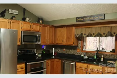 100 Ridgeview Drive, Hendersonville, NC 28792 - Photo 3