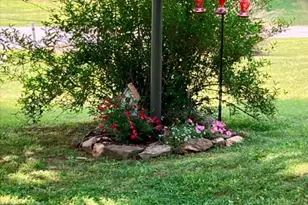 504 Greens Creek Rd, Sylva, NC 28779 - Photo 43