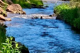 504 Greens Creek Rd, Sylva, NC 28779 - Photo 47