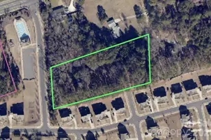 16716 Watermelon Ln, Charlotte, NC 28278 - Photo 13