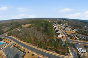 16716 Watermelon Ln, Charlotte, NC 28278 - Photo 9