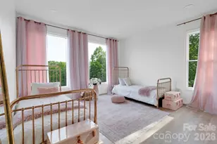 21 13 Wild Pine Ct, Leicester, NC 28748 - Photo 29