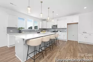 147 Tangle River Dr, Statesville, NC 28677 - Photo 3