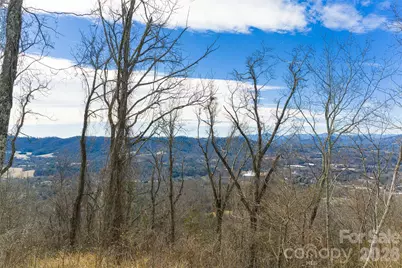 5 Longstreet Court #17, Weaverville, NC 28787 - Photo 5