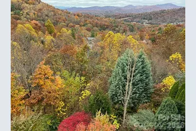 116 Dalya Road, Swannanoa, NC 28778 - Photo 45