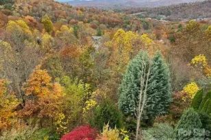 116 Dalya Rd, Swannanoa, NC 28778 - Photo 45