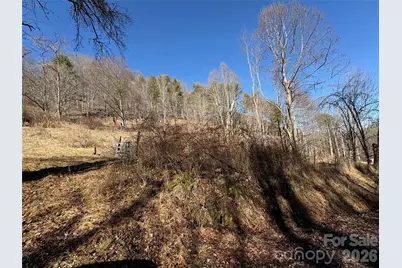 9999 Bee Log Road, Burnsville, NC 28714 - Photo 13