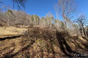 9999 Bee Log Rd, Burnsville, NC 28714 - Photo 13