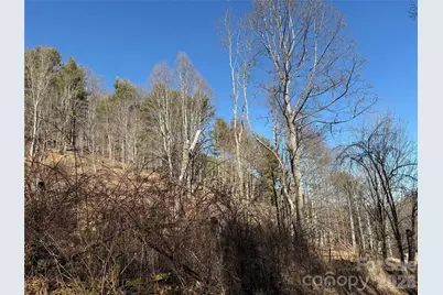 9999 Bee Log Road, Burnsville, NC 28714 - Photo 15