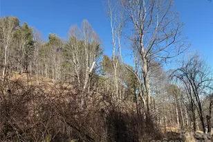 9999 Bee Log Rd, Burnsville, NC 28714 - Photo 15