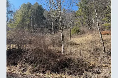9999 Bee Log Road, Burnsville, NC 28714 - Photo 3